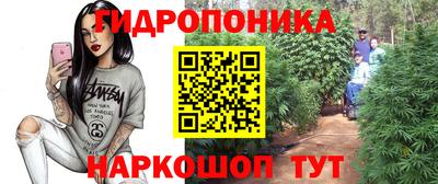 spice Заволжье