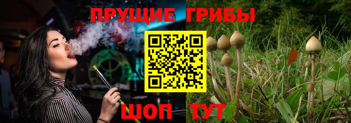 Галлюциногенные грибы прущие грибы  Псилоцибиновые грибы Psilocybe  Мелеуз  Вход с VPN 